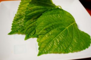 エゴマの葉とは どんな栄養素があるの 美味しい食べ方もどうぞ 日々の気になる豆知識メモ